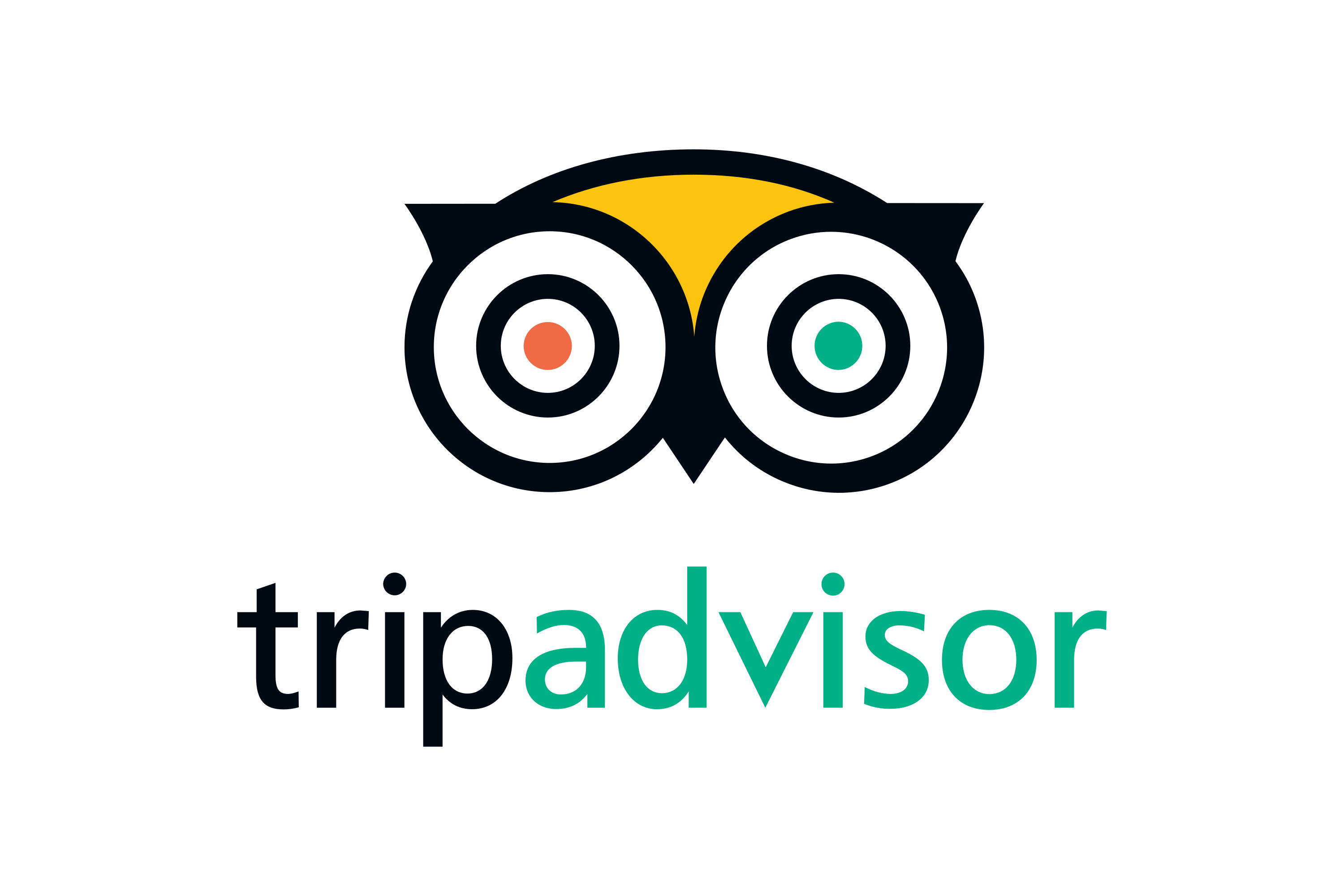 TripAdvisor logo